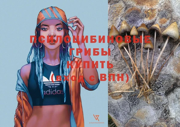 стафф Алексин