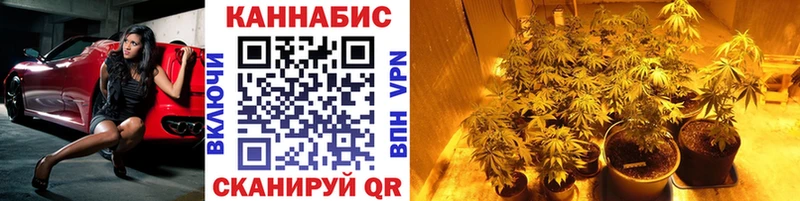 Шишки марихуана Ganja  Магас 
